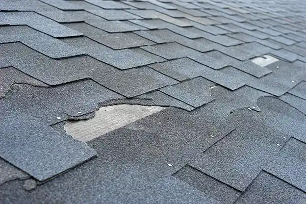 Damaged roof shingles